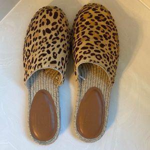 GAP Cheetah Slides
